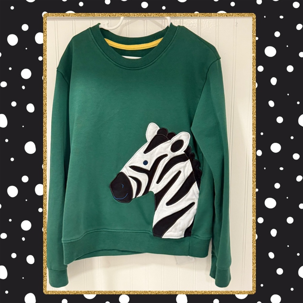 Kids Green Zebra Sweatshirt 🦓 [Size 7Y]